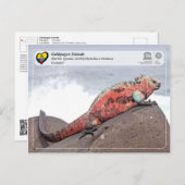 UNESCO WH- Galápagos-Inseln - Marine Iguana Postkarte (Vorne/Hinten)