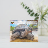 UNESCO WH- Galápagos-Inseln - Riesenschildkröten Postkarte (Stehend Vorderseite)