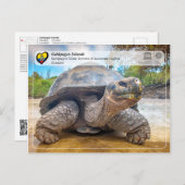 UNESCO WH- Galápagos-Inseln - Riesenschildkröten Postkarte (Vorne/Hinten)