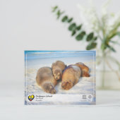 UNESCO WH- Galápagos-Inseln - Seelöwen Postkarte (Stehend Vorderseite)