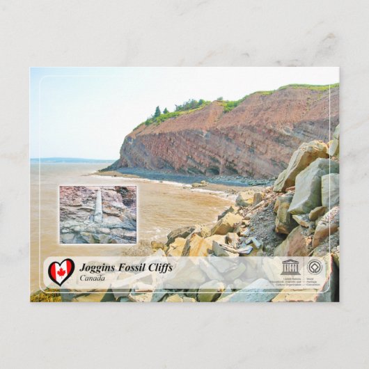 UNESCO WH- Joggins Fossil Cliffs Postkarte (Vorderseite)
