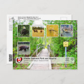 UNESCO WH- Kluane Nationalpark und Reservat Postkarte (Vorne/Hinten)