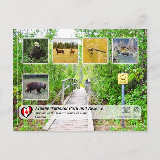 UNESCO WH- Kluane Nationalpark und Reservat Postkarte (Vorderseite)