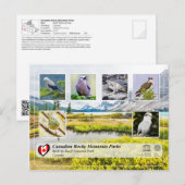 UNESCO WH- Nationalpark Banff Postkarte (Vorne/Hinten)