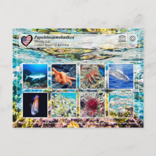 UNESCO WH- Papahānaumokuākea - Leben in der Marine Postkarte