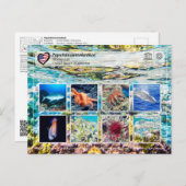 UNESCO WH- Papahānaumokuākea - Leben in der Marine Postkarte (Vorne/Hinten)