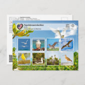 UNESCO WH- Papahānaumokuākea - Vögel Postkarte (Vorne/Hinten)