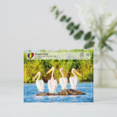 UNESCO WH- Pelikane im Donaudelta Postkarte (Stehend Vorderseite)