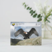 UNESCO WH- Sangay National Park - Andean Condor Postkarte (Stehend Vorderseite)