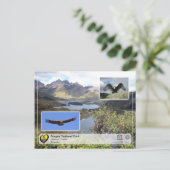 UNESCO WH- Sangay National Park - Andean Condor Postkarte (Stehend Vorderseite)