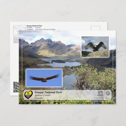 UNESCO WH- Sangay National Park - Andean Condor Postkarte (Vorne/Hinten)