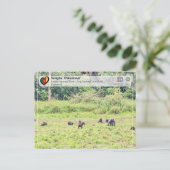 UNESCO WH- Sangha Trinational - Lobéké Postkarte (Stehend Vorderseite)