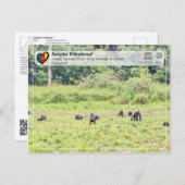 UNESCO WH- Sangha Trinational - Lobéké Postkarte (Vorne/Hinten)