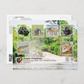 UNESCO WH- Sangha Trinational - Lobéké Postkarte (Vorne/Hinten)