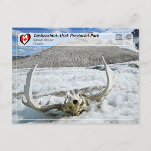 UNESCO WH- Tatshenshini-Alsek Provinzpark Postkarte