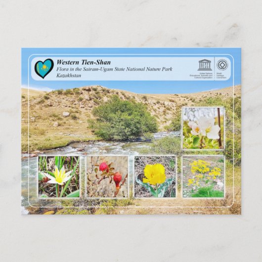 UNESCO WH- Western Tien-Shan - Sairam-Ugam Postkarte (Vorderseite)
