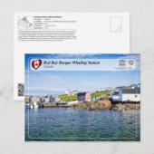 UNESCO WH- Whaling Station in der Bucht von Red Ba Postkarte (Vorne/Hinten)