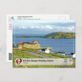 UNESCO WH- Whaling Station in der Bucht von Red Ba Postkarte (Vorne/Hinten)