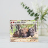 UNESCO WH- Wood Buffalo Nationalpark Postkarte (Stehend Vorderseite)