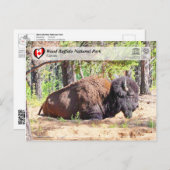UNESCO WH- Wood Buffalo Nationalpark Postkarte (Vorne/Hinten)