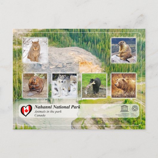 UNESCO WHS - Nationalpark Nahanni Postkarte (Vorderseite)