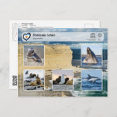 UNESCO WHS - Península Valdés Postkarte (Vorne/Hinten)