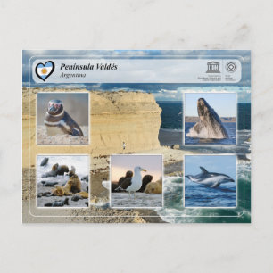 UNESCO WHS - Península Valdés Postkarte