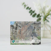 UNESCO WHS - Petroglyphen von Tanbaly Postkarte (Stehend Vorderseite)