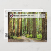 UNESCO WHS - Redwood National and State Parks Postkarte (Vorne/Hinten)