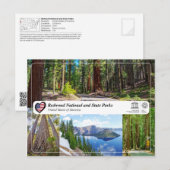 UNESCO WHS - Redwood National und Staat Parks Postkarte (Vorne/Hinten)