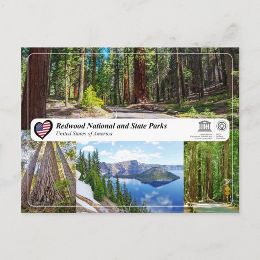 UNESCO WHS - Redwood National und Staat Parks Postkarte (Vorderseite)