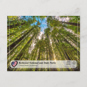 UNESCO WHS - Redwood National und Staat Parks Postkarte