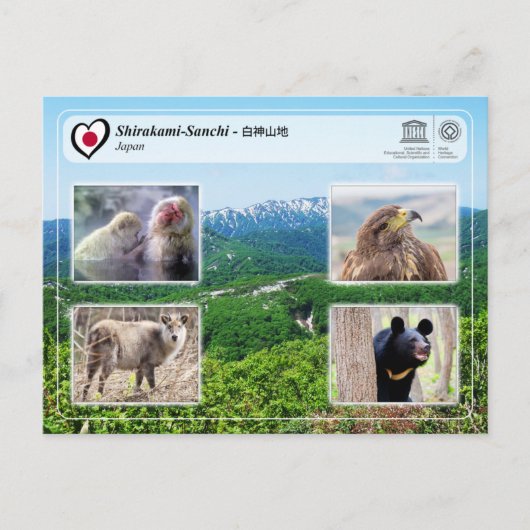 UNESCO WHS - Shirakami-Sanchi - 白神山地 Postkarte (Vorderseite)