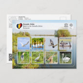 UNESCO WHS - Vögel im Donaudelta Postkarte (Vorne/Hinten)