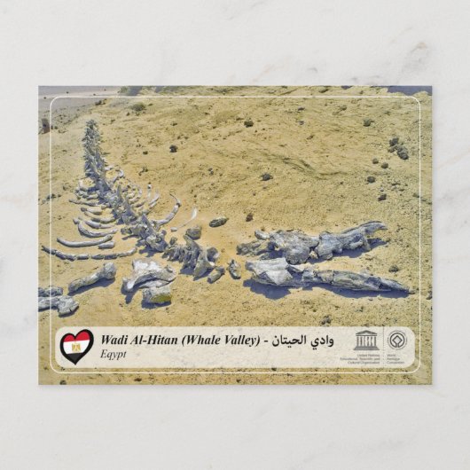 UNESCO WHS - Wadi Al-Hitan (Whaletal) Postkarte (Vorderseite)