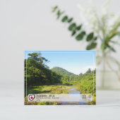 UNESCO WHS - Yakushima - 屋 久 島 Postkarte (Stehend Vorderseite)