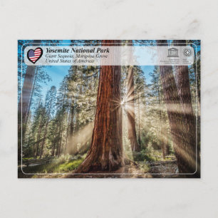 UNESCO - Yosemite National Park - Mariposa Grove P Postkarte