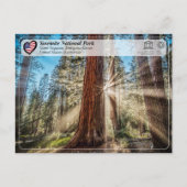 UNESCO - Yosemite National Park - Mariposa Grove P Postkarte (Vorderseite)
