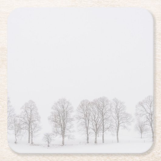 Unfruchtbare Bäume im Winter in einem weißen Rechteckiger Pappuntersetzer (Vorderseite)