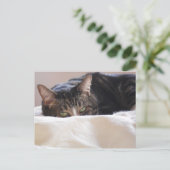 Unfug planen postkarte (Stehend Vorderseite)