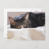 Unfug planen postkarte (Vorne/Hinten)