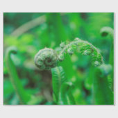 Unfurling Farne Geschenkpapier (Flach)