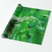 Unfurling Farne Geschenkpapier (Ungerollt)