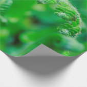 Unfurling Farne Geschenkpapier (Ecke)