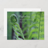 Unfurling fern leaf CC0191 Nature nah-up Foto Postkarte (Vorne/Hinten)