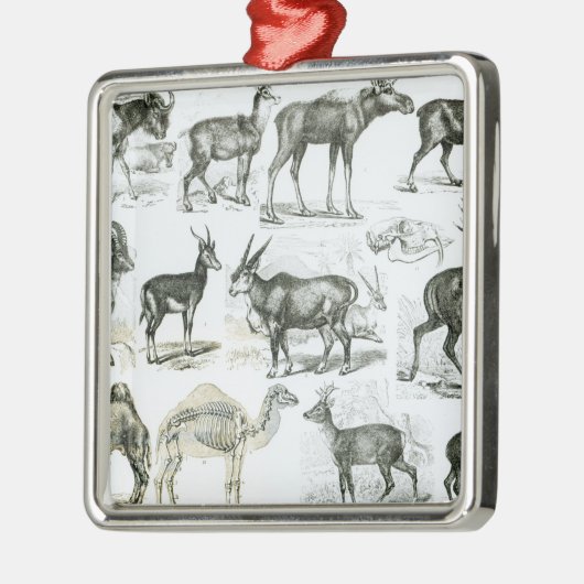 Ungalata oder Huftiere Silbernes Ornament (Links)