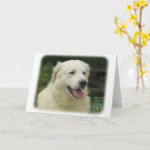 Ungar Kuvasz 8W02-17 Karte (Gelbe Blume)