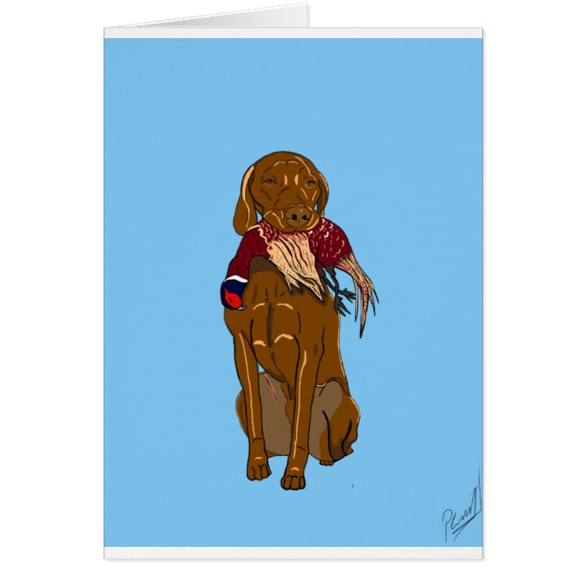 Ungar Vizsla (Vorne)