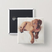Ungar Vizsla Welpe Button (Vorne & Hinten)