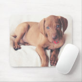 Ungar Vizsla Welpe Mousepad (Mit Mouse)